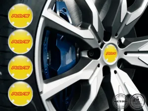 Rays Decalcomanie su Ruote Etichette Resina Qualità Max